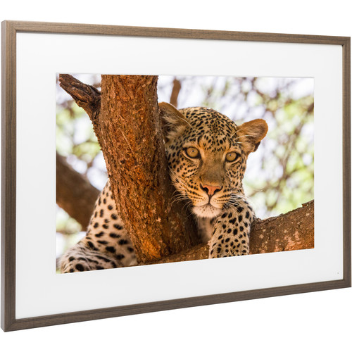 Memento Electronics 35" Smart Frame (Walnut)