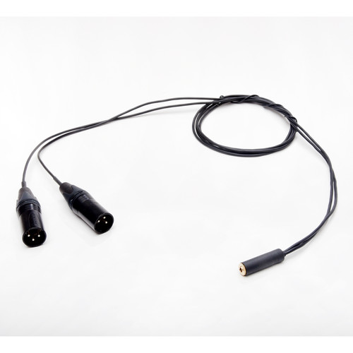 Microphone Madness 3.5mm Stereo Mini Female to Dual XLR Male Y-Cable (4.4')