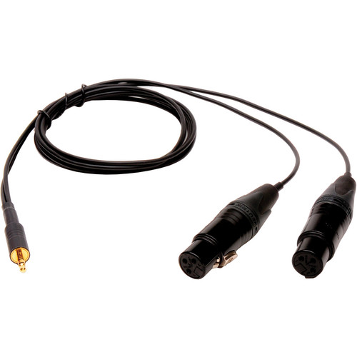 Microphone Madness Dual XLR Female to 1/8" (3.5mm) Stereo Male Mini-Plug Adapter Cable