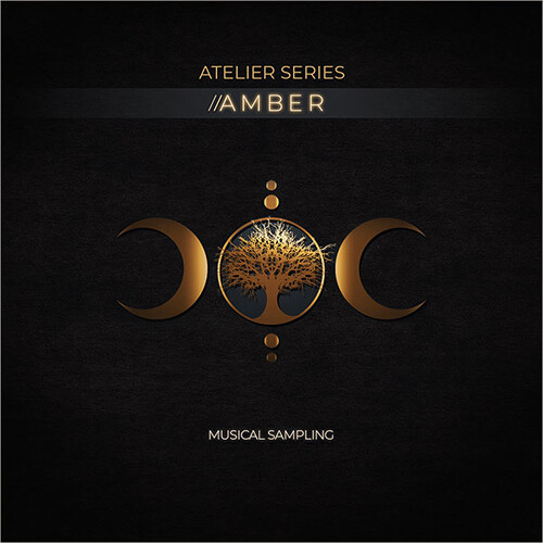 Musical Sampling Atelier Series Amber Vocal Virtual Instrument for KONTAKT FULL