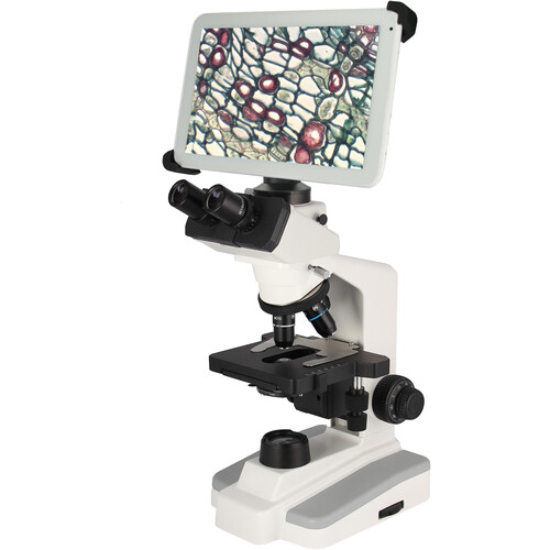 National Optical BTW2-169-PH Trinocular Compound Microscope with Integrated 10" Tablet