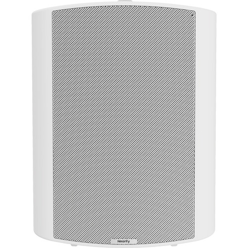 Nearity ASP110 15W Passive Wallmount Speaker