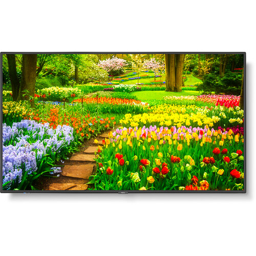 Sharp M Series 49" 4K Commercial Display with NEC Media Player and Raspberry Pi Compute Module 4 SoC