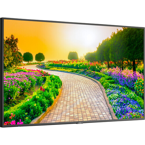 Sharp M Series 49" 4K Commercial PCAP Touchscreen