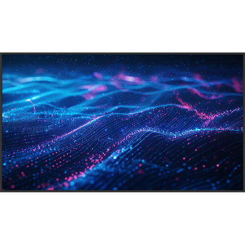 Newline DSX Series 55" UHD 4K Commercial Monitor