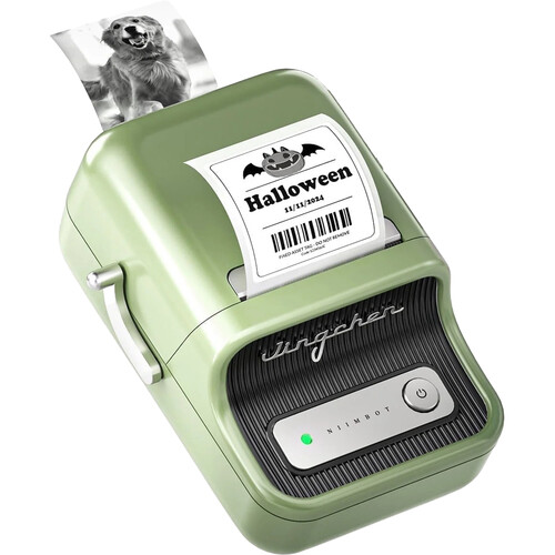 NIIMBOT B21 2" Portable Thermal Label Printer (Green)