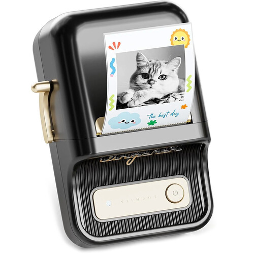 NIIMBOT B21 Pro 2" Portable HD Thermal Label Printer (Black)