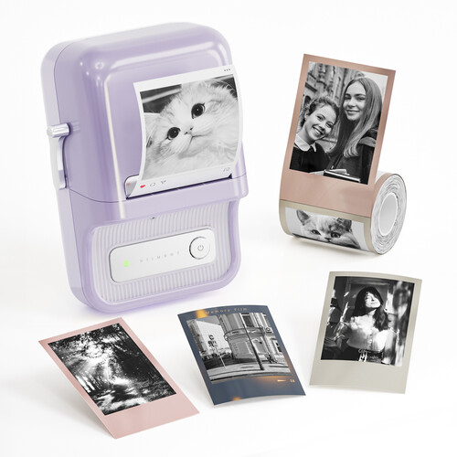 NIIMBOT B21 Pro 2" Portable HD Thermal Label Printer (Monet Purple)