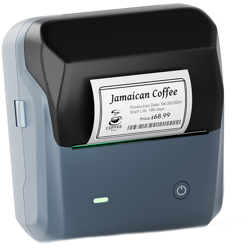 NIIMBOT B31 3" Portable Thermal Label Printer (Lake Blue)