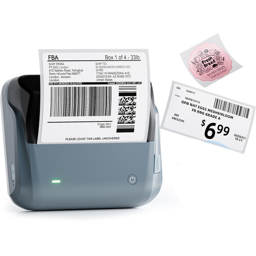 NIIMBOT B4 4" Portable Thermal Label Printer (Blue)