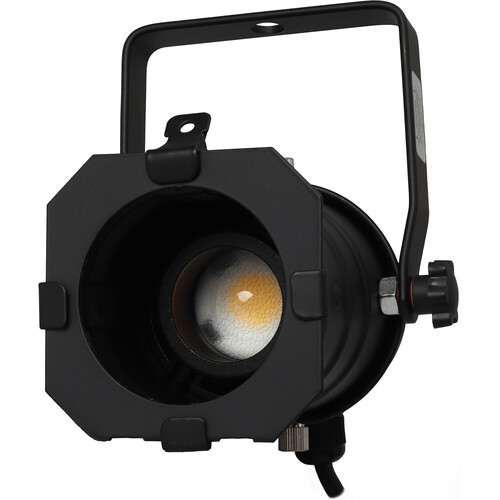 Odyssey Aluminum Par 20 Light Fixture with Adjustable LED Bulb