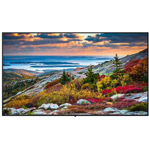 Panasonic TH-55CQE1W 55" Class 4K UHD Commercial Monitor