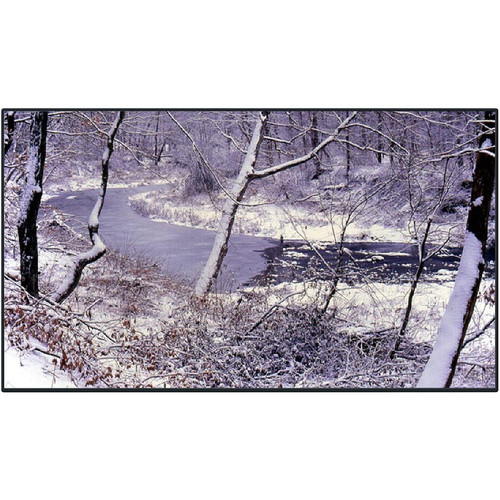 Panasonic TH-65LFE8U 65" Class Full HD LCD Professional Display