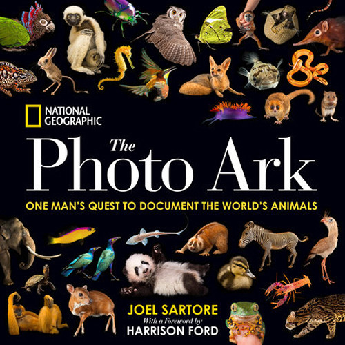 Penguin The Photo Ark: One Man's Quest to Document the World's Animals (National Geographic, Hardcover)