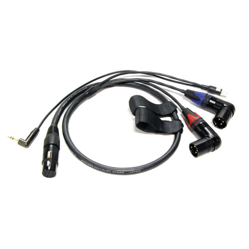 Peter Engh M3 Quick Release Camera End - XLR 7-F to Dual XLR 3-M, 3.5mm Return and Tap (33.5")