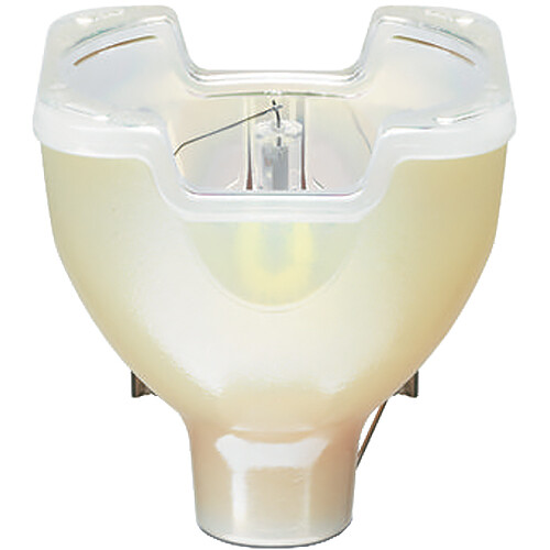 Philips MSD Platinum 15 R Metal Halide Lamp (300W)
