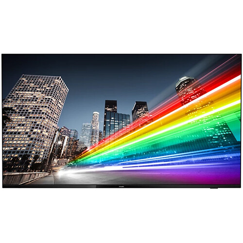 Philips 55BFL2214/27 55" UHD 4K Commercial TV