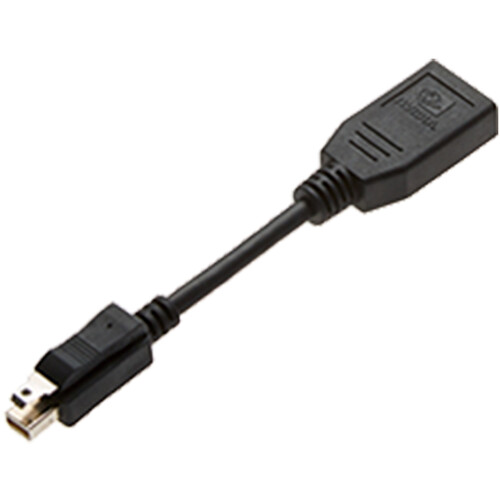 PNY mDP to DP Adapter