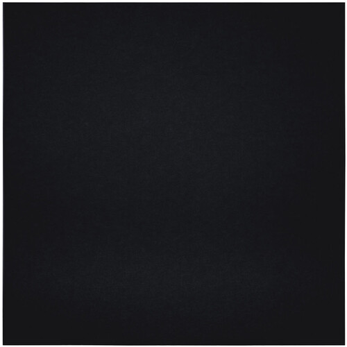 Primacoustic EcoScapes Beveled Acoustic Wall Panels (Onyx, 48 x 48 x 1", 3-Pack)