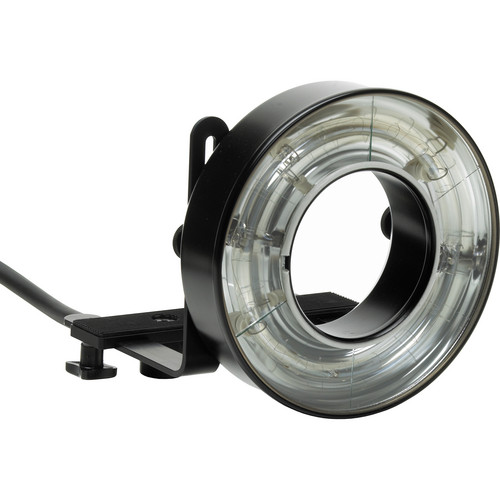 Profoto Acute/D4 Ringflash