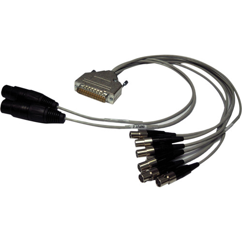 PSC FSOLMCAB02 - 2 XLRF and 6 XLRF-Mini to DB25M Solice-Mini Input Cable (24")