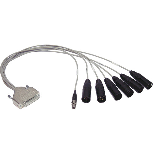 PSC FSOLMCAB06 - 6 XLRM and 1 XLRF-Mini to DB25M Solice-Mini Output Cable (24")