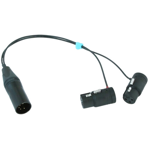 Radius Mini-ALTO Two Low-Profile XLR-3F to XLR-5M M/S Cable (Blue Plug, 10.2")