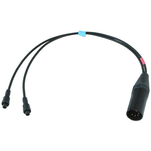 Radius Mini-ALTO M/S Stereo 5-Pin XLR Male to Two Lemo FVN Connector Cable (10.8")