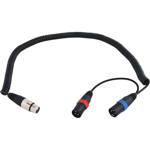 Remote Audio CAXSTECOIL XLR to Stereo Coiled Audio Cable (7.0')