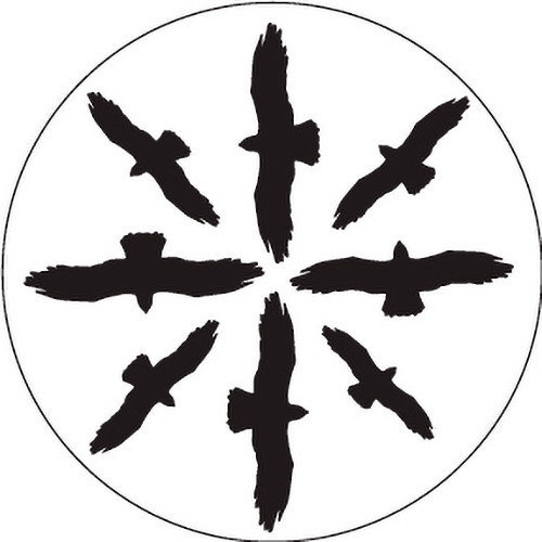 Rosco Circling Birds Silhouette 1 B/W Rotating Glass Gobo (B Size)