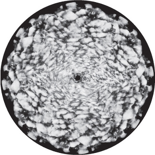 Rosco Cloud Cover 2 Animation Wheel B/W Rotating Glass Gobo (A Size)