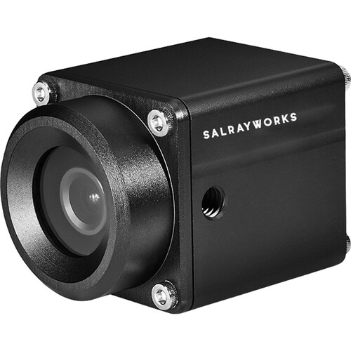 SalrayWorks VWFS POV Camera