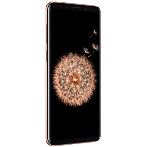 Samsung Galaxy S9+ SM-G9650 Dual SIM 64GB Smartphone (Unlocked, Gold)