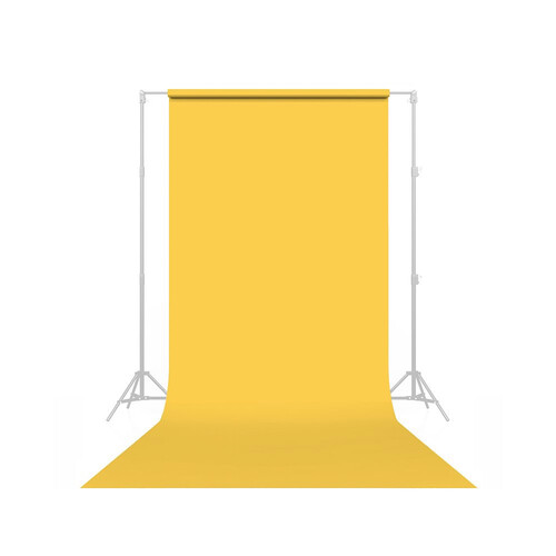 Savage #04 Sand Seamless Background Paper (86" x 36')