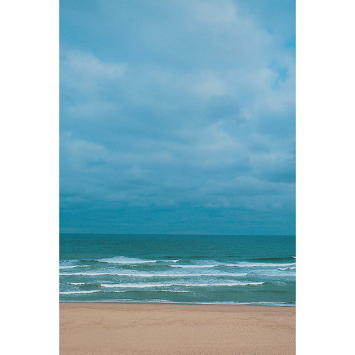 Savage Surf Beach Printed Vinyl Backdrop (5x7')