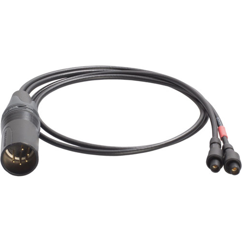 Schoeps Adapter Cable: 2-Lemo To XLR-5M for CCM_L Pair