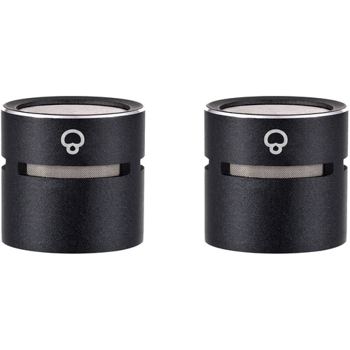 sE Electronics sE8 Supercardioid Microphone Capsules (Matched Pair)