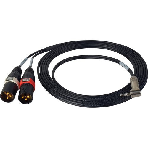 Sescom SES-DSLR-ST-MIC XLR Stereo Mic to DSLR Audio Input Adapter Cable (10')