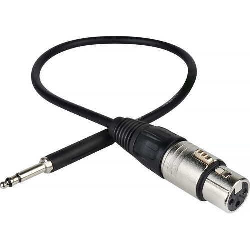 Sescom Patch Cable Bantam TT Male to 3-Pin XLR Female (1')