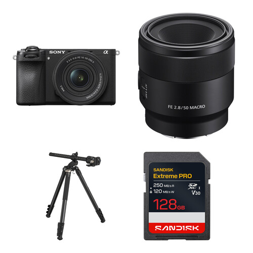 Sony a6700 Mirrorless Camera with 16-50mm and 50mm Lenses and Macro Photography Kit