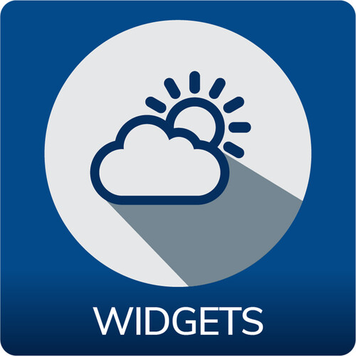 SpinetiX DSOS WIDGETS (Permanent License)