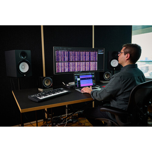 Steinberg SpectraLayers Pro 9 Audio Repair and Restoration Software (Download)