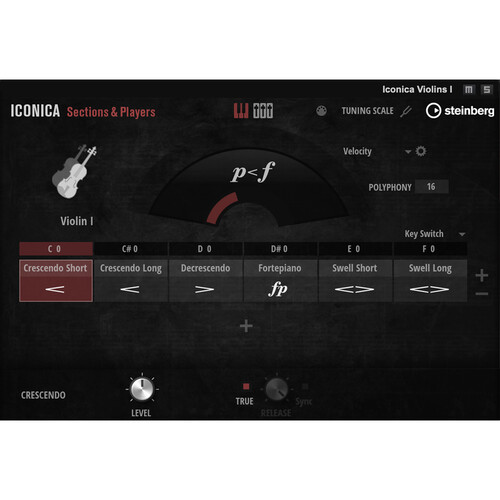 Steinberg Iconica Sections and Players Virtual Instrument Library