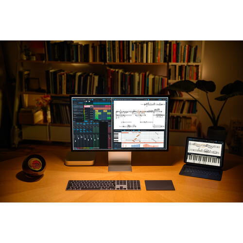 Steinberg DAC Dorico Pro 6 Music Notation Software (Crossgrade for Owners of Any Sibelius Ultimate or Capella Full)