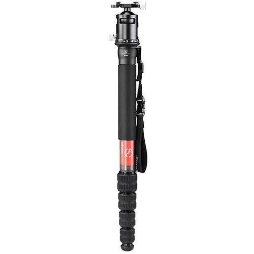 Sunwayfoto M3650C Carbon Fiber Monopod with EB-44 Ball Head