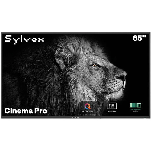 SYLVOX Cinema Pro Outdoor Full Sun 65" 4K HDR Smart QLED TV