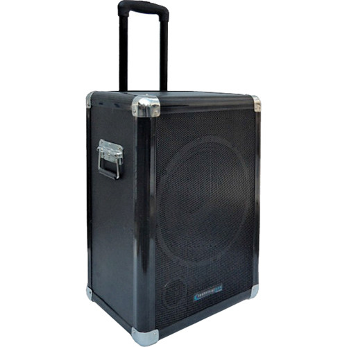 Technical Pro 12'' Portable Subwoofer