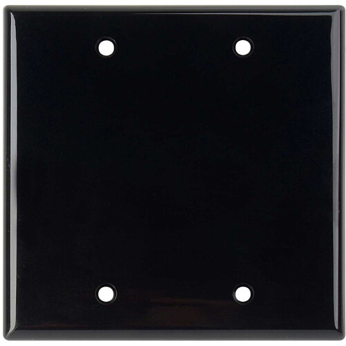 TecNec 2-Gang Blank Wall Plate (Black Lexan)