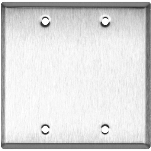 TecNec 2-Gang Blank Wall Plate (Clear Anodized Aluminum)