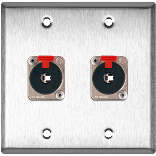 TecNec 2-Gang Brass Wall Plate with 2 - Neutrik NJ3FP6C Stereo 1/4 Latching Jacks